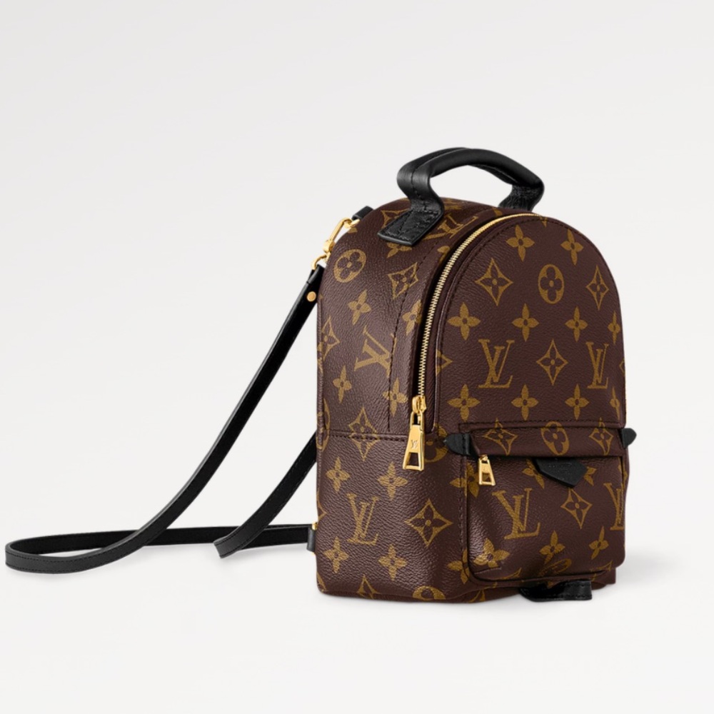 Louis Vuitton Palm Springs Mini